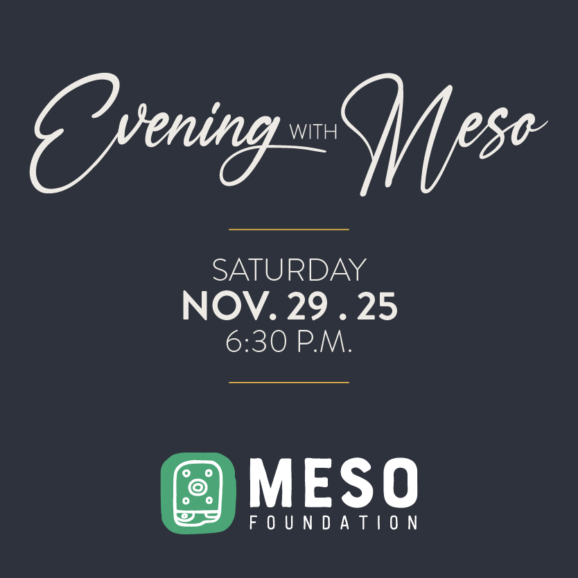 Evening with Meso