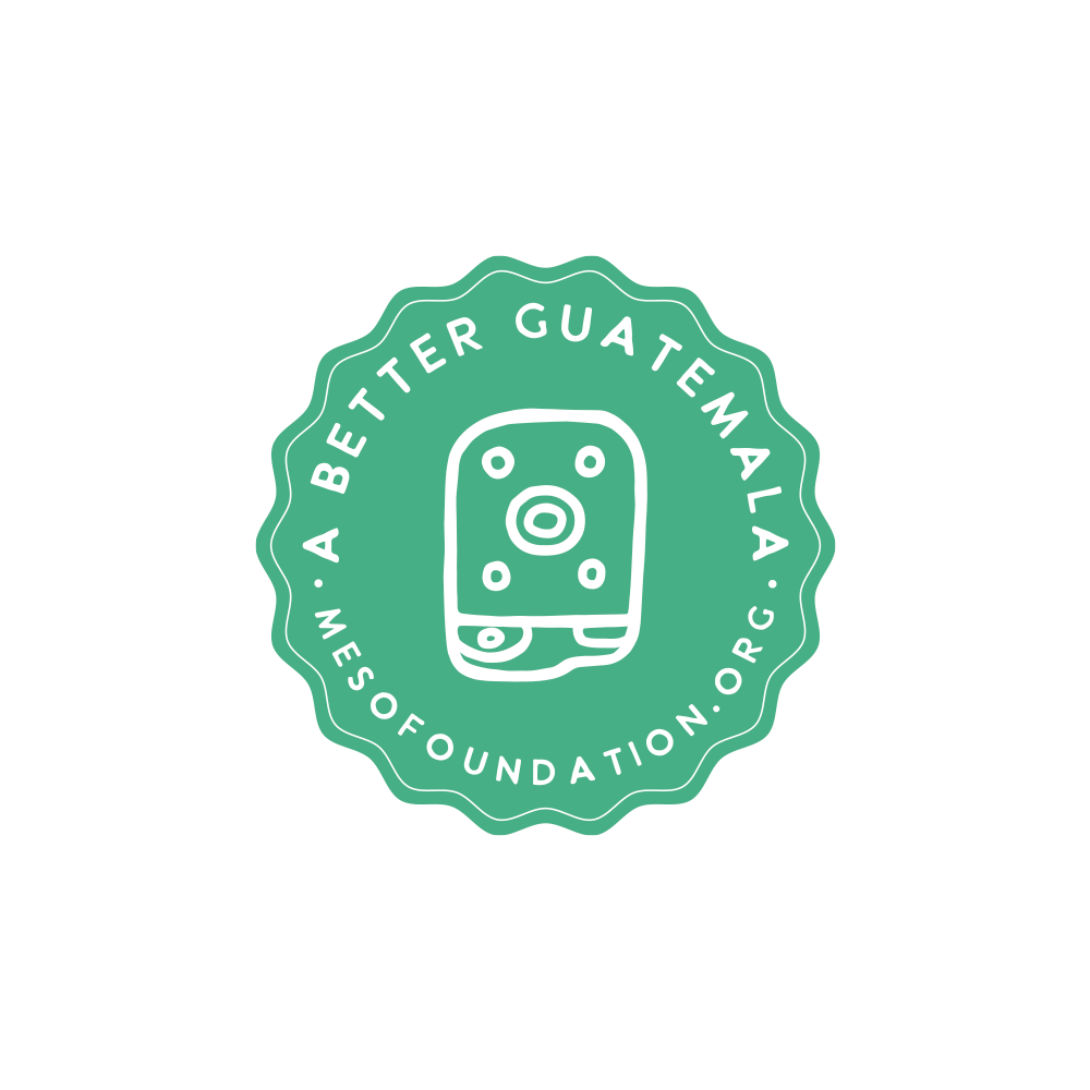 Meso: A Better Guatemala Pin