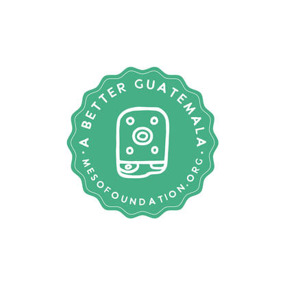 Meso: A Better Guatemala Pin